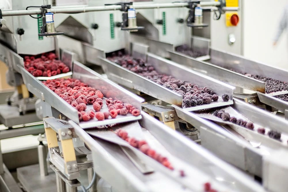Food Processing Facilities Food Processing Facilities